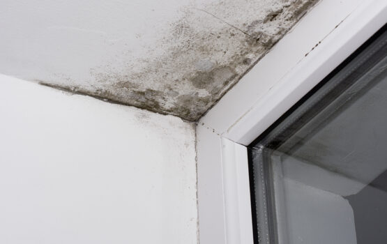 Water-Leaks.jpg