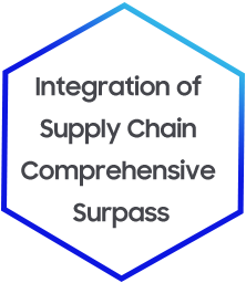 Integration of Supply Chain Comprehensive Surpass