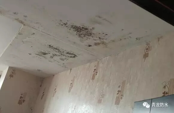 QINGLONG WATERPROOFING expansion joint
