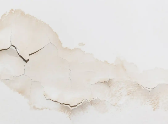 water dripping or dark stains on your ceiling