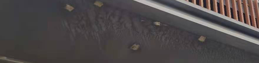 water dripping or dark stains on your ceiling