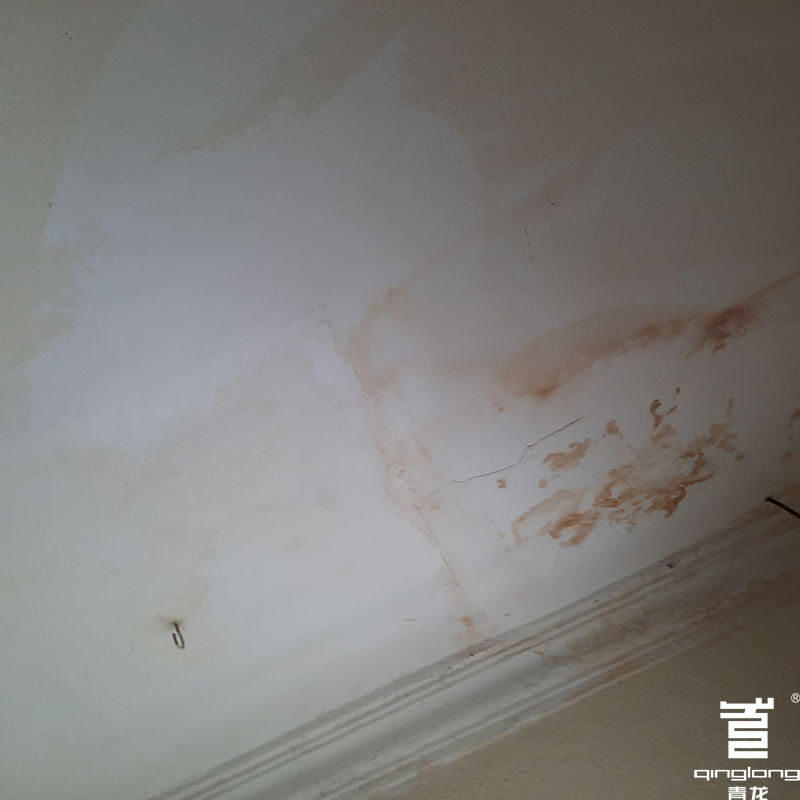 Mould growing on a wall