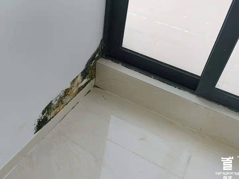 Wall water leaking