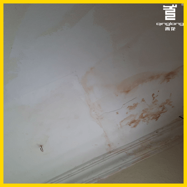 Mildew or mould, QINGLONG WATERPROOFING.