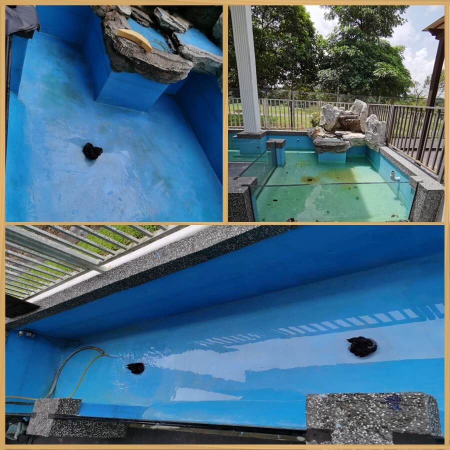 QINGLONG- Everywhere in One Waterproof Coating