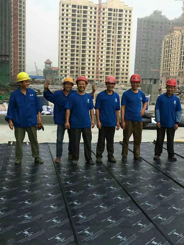 QINGLONG WATERPROOFING