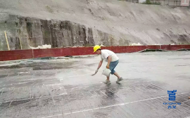 QINGLONG WATERPROOFING