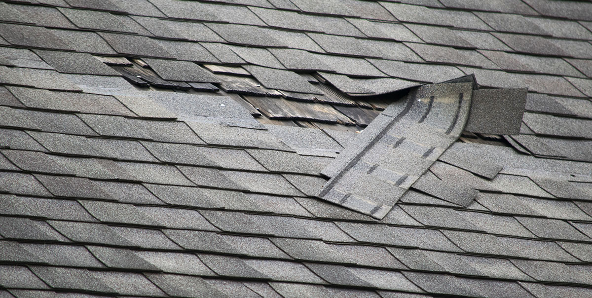 wind-shingles-main.jpg