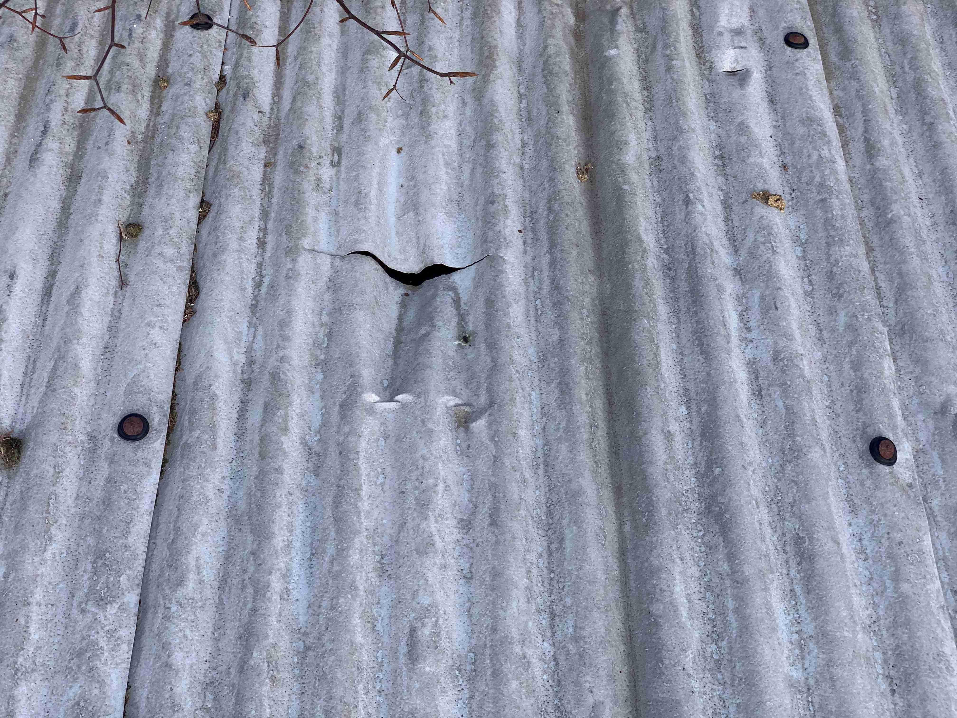 1961703271_Holeinroof-resized.jpg.70a626fdffb6dacbcddae11b0830ac86.jpg