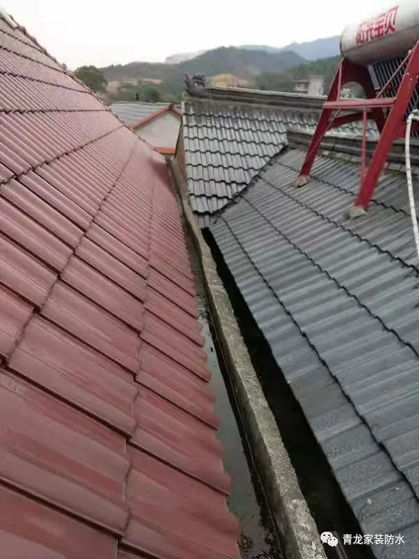 Mastering Waterproofing for Leak-Free Roofs and Ceilings!